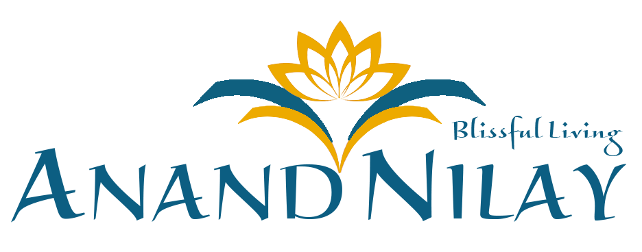Anand Nilay logo